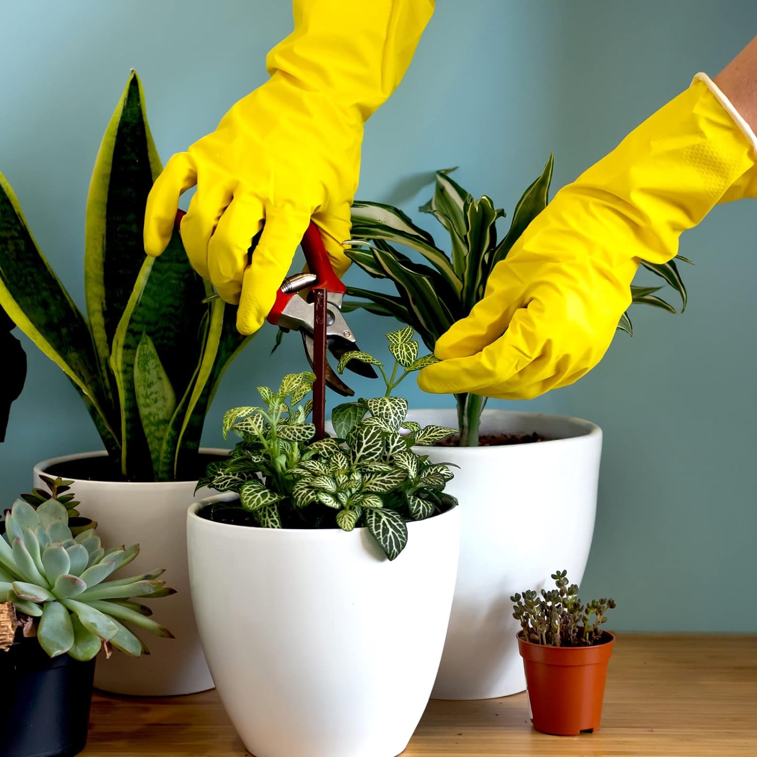 Rubber Kitchen Dishwashing Gloves, Colorful Reusable Household Cleaning Gloves for Washing Dishes and Cleaning Tasksv-4 Pairs Rubber Kitchen Dishwashing Gloves, Colorful Reusable Household Cleaning Gloves for Washing Dishes and Cleaning Tasksv-4 Pairs